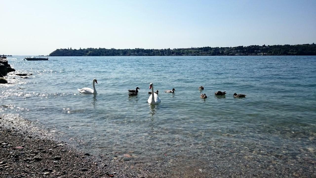 Brezza Di Lago Salò Buitenkant foto